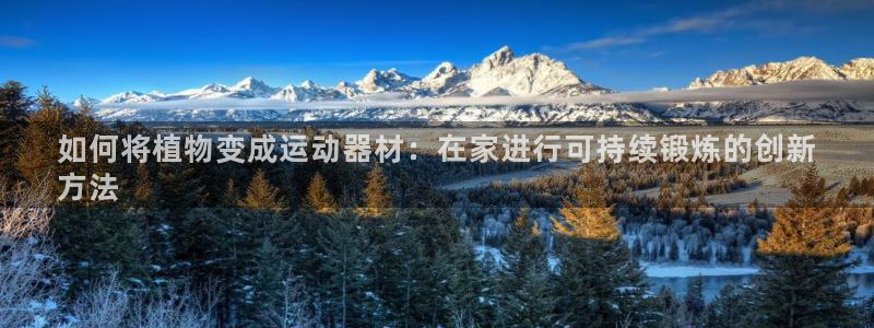 意昂体育3招商