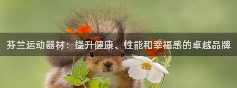 海南意昂体育3：芬兰运动器材：提升健康、性能和幸福感