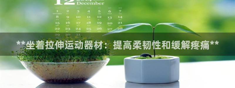 意昂体育3软件：**坐着拉伸运动器材：提高柔韧性和缓