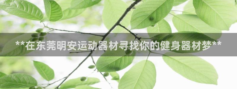 意昂体育3招商电话地址：**在东莞明安运动器材寻找你