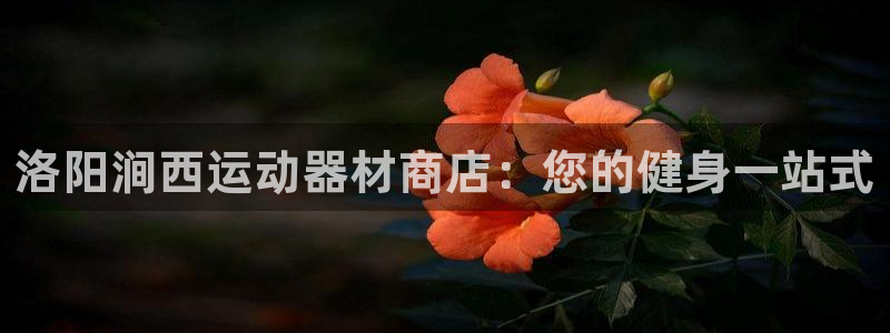 意昂体育3平台注册流程视频：洛阳涧西运动器材商店：您