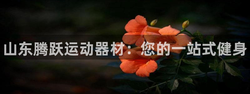 意昂3集团官网首页：山东腾跃运动器材：您的一站式健身