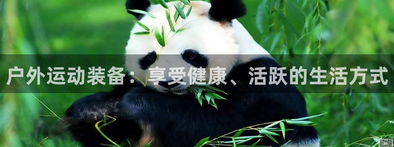 意昂体育3招商电话号码是多少啊：户外运动装备：享受健