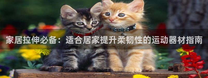 意昂体育3平台是正规平台吗：家居拉伸必备：适合居家提