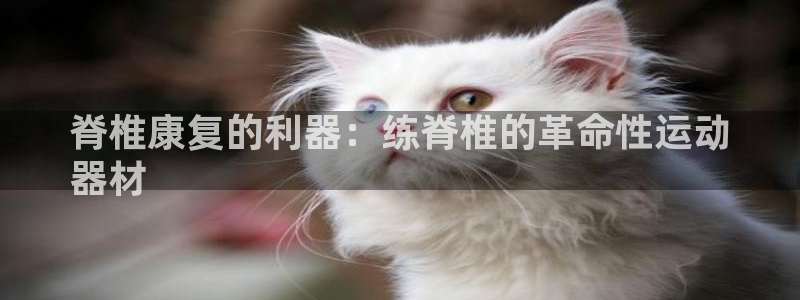 意昂体育3平台是正规平台吗：脊椎康复的利器：练脊椎的