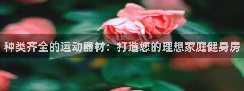 意昂3神州：种类齐全的运动器材：打造您的理想家庭健身