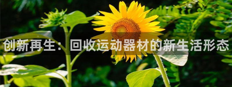 意昂体育3开户