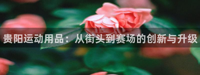 意昂体育3招商